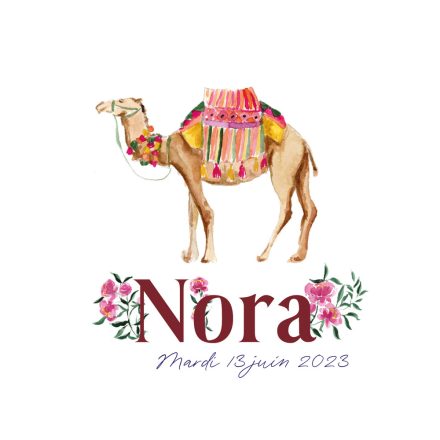 Faire-part naissance oriental aquarelle chameau dromadaire