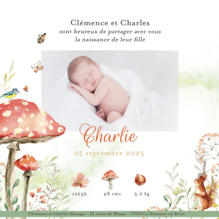 Un faire-part de naissance automnal au cœur de la forêt enchantée Chaleureux et poétique comme une promenade en forêt à l’automne, ce faire-part de naissance célèbre l’arrivée de votre enfant dans un univers féerique et rempli de tendresse. Illustré à l’aquarelle, il met en scène des éléments de la forêt, tels que des champignons rouges, des écureuils espiègles, et une végétation délicate qui évoque les couleurs chatoyantes de la saison. Tous les modèles du site internet sont peints à la main dans mon atelier, avec une attention particulière portée aux détails pour capturer l’émotion unique de ce moment magique. Personnalisez ce faire-part selon vos envies ! Vous pouvez ajouter une photo de votre bébé, inclure des informations telles que son poids, sa taille et l’heure de sa naissance, ou encore modifier la couleur du prénom – c’est offert ! Je suis à votre écoute pour adapter le texte et les détails afin de créer un faire-part à votre image. Caractéristiques du faire-part : Dimensions : 15 x 15 cm Impression digitale de haute qualité Thème : forêt, automne, animaux Offrez à votre annonce de naissance une touche de poésie et de douceur grâce à ce modèle unique, parfait pour les amoureux de la nature et des contes d’automne.